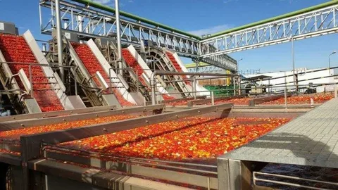 تصویر 3 از رب گوجه ۸۰۰ گرمی + ترکیب طبیعی و بدون نگهدارنده